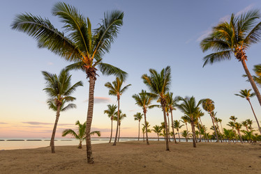 Similar image 17819450