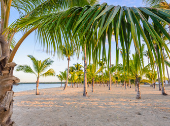 Similar image 17819491