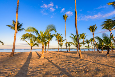 Similar image 17819509