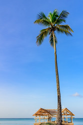 Similar image 17819561