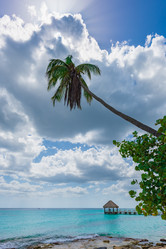 Similar image 17819613