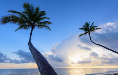 Similar image 17819617