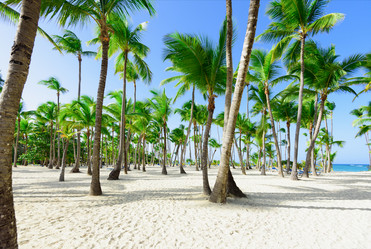 Similar image 17819619