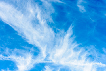 Similar image 17819698