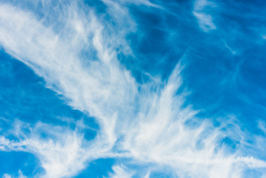 Similar image 17819718