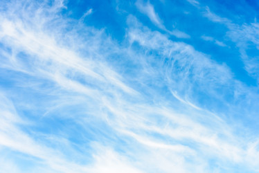 Similar image 17819711