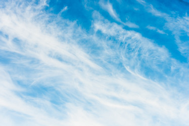 Similar image 17819731