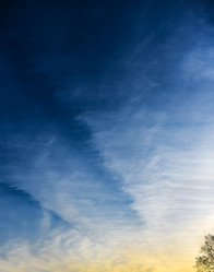 Similar image 17819707