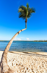 Similar image 17819742