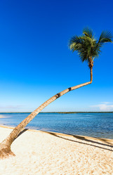 Similar image 17819756