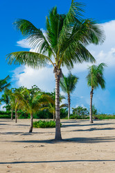 Similar image 17819792