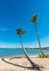 Similar image 17819870