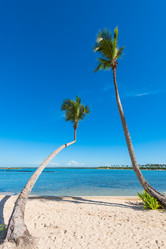 Similar image 17819890