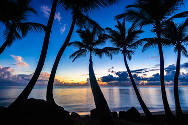 Similar image 17819892