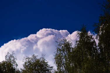 Similar image 17819908