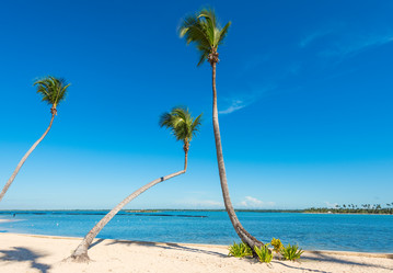 Similar image 17819909