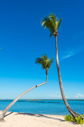 Similar image 17819910