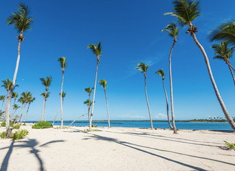 Similar image 17819923