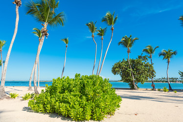 Similar image 17819924