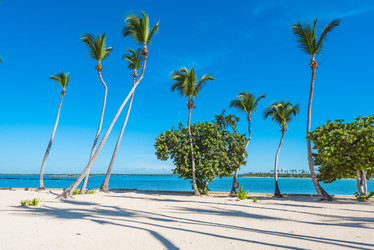 Similar image 17819945