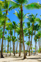 Similar image 17819972