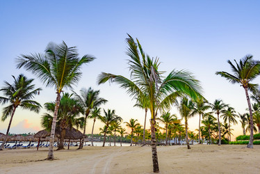 Similar image 17819992