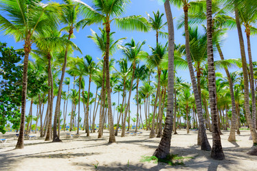 Similar image 17820007