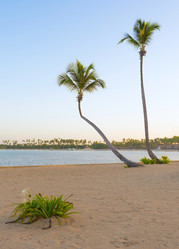 Similar image 17820009