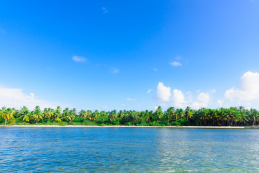 Similar image 17820056