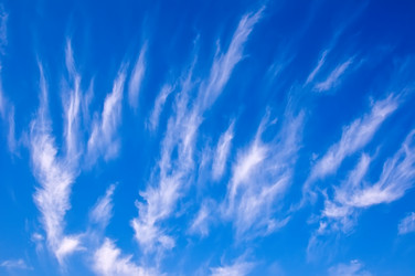 Similar image 17820088