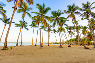 Similar image 17820066