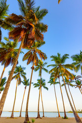 Similar image 17820090