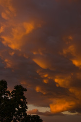 Similar image 17820101