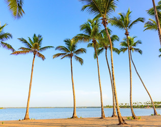 Similar image 17820110