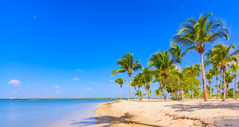 Similar image 17820114