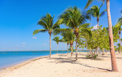 Similar image 18135647