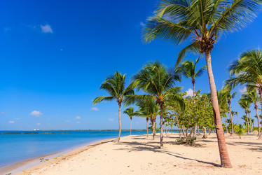 Similar image 18135667