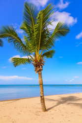 Similar image 18135669