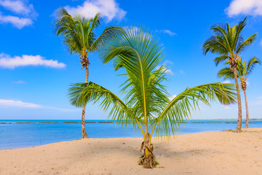 Similar image 18135686