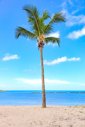 Similar image 18135692