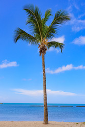 Similar image 18135704