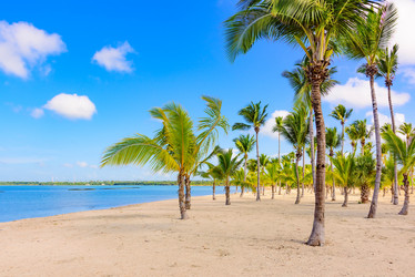 Similar image 18135701