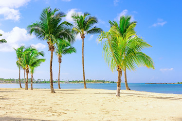 Similar image 18135702