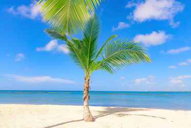 Similar image 18135703