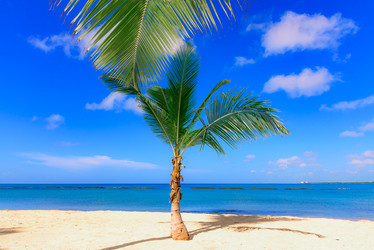 Similar image 18135723