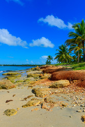 Similar image 18135724