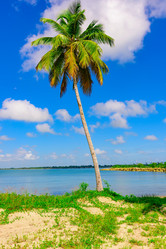 Similar image 18135744