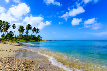 Similar image 18135745