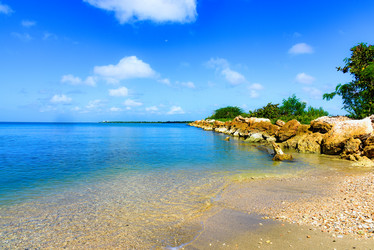 Similar image 18135746