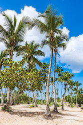 Similar image 18135784